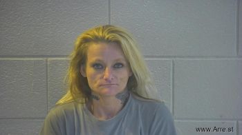 Amanda J Coleman Mugshot