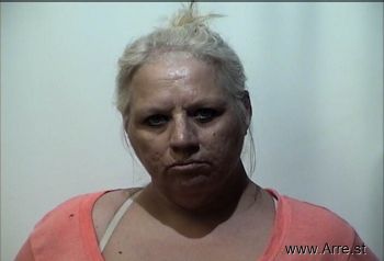 Amanda Kaye Collins Mugshot