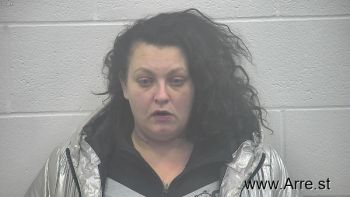 Amanda Kay Collins Mugshot