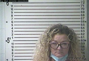 Amanda Michelle Dennison Mugshot