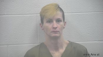 Amanda Lynn Dixon Mugshot