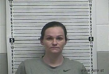 Amanda L Draper Mugshot