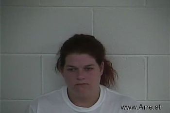 Amanda  Elam Mugshot