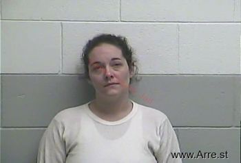 Amanda L Elliott Mugshot