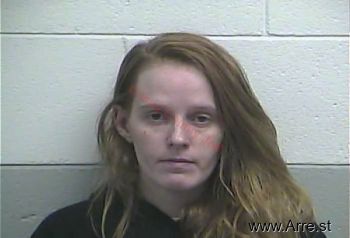 Amanda L Elliott Mugshot