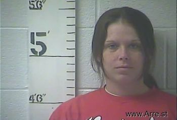 Amanda Lynn Elliott Mugshot