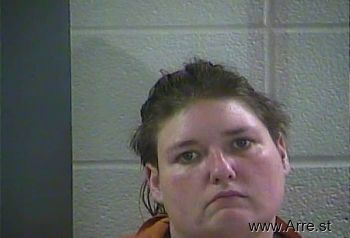 Amanda L Ellison Mugshot