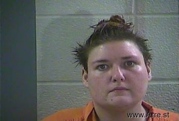 Amanda L Ellison Mugshot