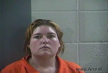 Amanda Lee Ellison Mugshot