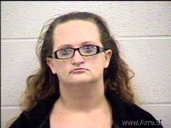 Amanda Sue Faehr Mugshot