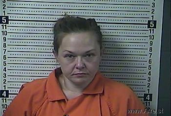 Amanda Elizabeth Foster Mugshot