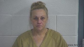 Amanda  Frye Mugshot