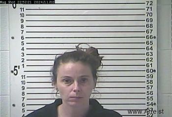 Amanda Kate Gibson Mugshot