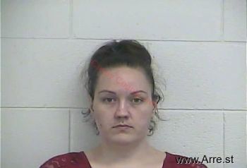 Amanda R Hess Mugshot