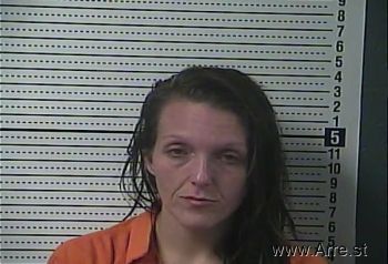 Amanda Gail Hines Mugshot