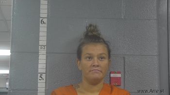 Amanda Leann Holmes Mugshot