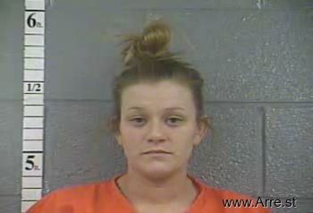 Amanda L Holmes Mugshot