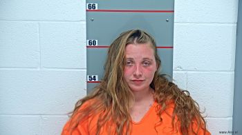 Amanda P Isaacs Mugshot