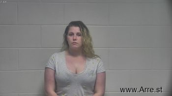 Amanda Lee James Mugshot