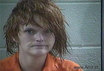 Amanda L Lambert Mugshot