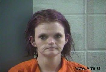 Amanda L Lambert Mugshot