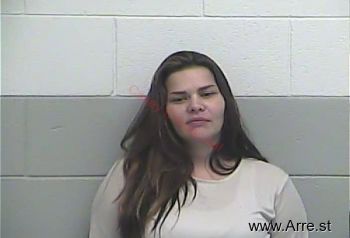 Amanda L Lankford Mugshot