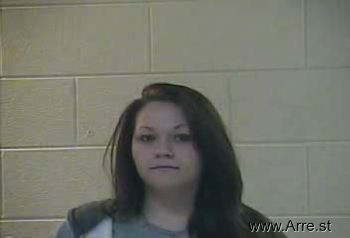 Amanda S Lee Mugshot