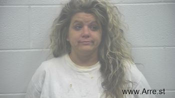 Amanda Joyce Lowery Mugshot