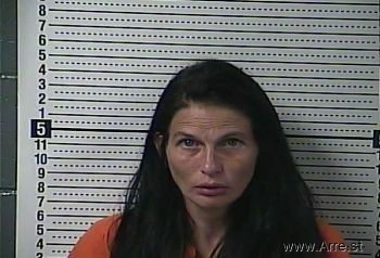 Amanda Rose Lyons Mugshot