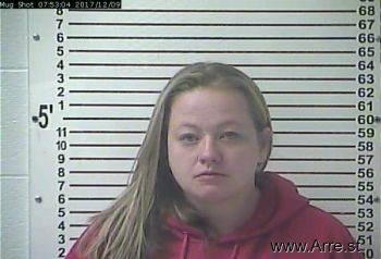 Amanda Lynn Mcmillen Mugshot