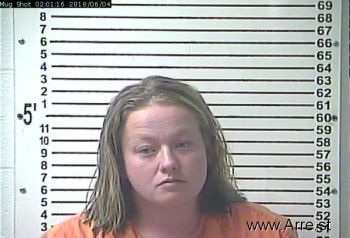 Amanda Lynn Mcmillen Mugshot