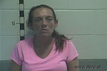 Amanda Gayle Miller Mugshot