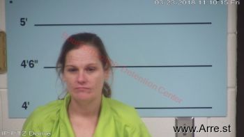 Amanda  Mitchell-well Mugshot