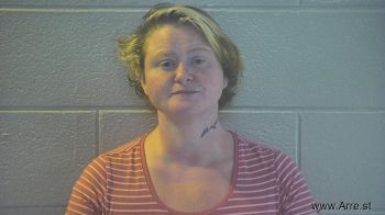 Amanda N Mullins Mugshot