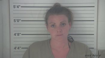 Amanda Mae Norris Mugshot