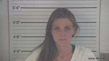 Amanda Mae Norris Mugshot