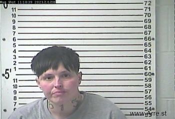 Amanda Nicole Norris Mugshot