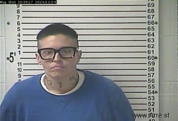 Amanda Nicole Norris Mugshot