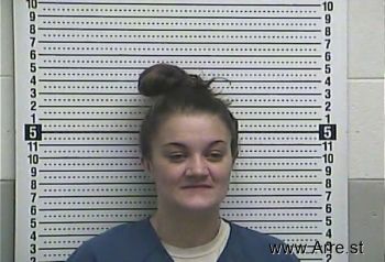 Amanda Lynn Phillips Mugshot