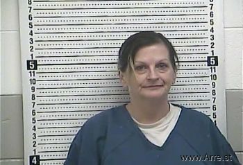 Amanda G Phillips Mugshot