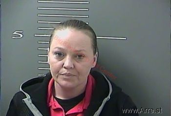 Amanda L Prince Mugshot