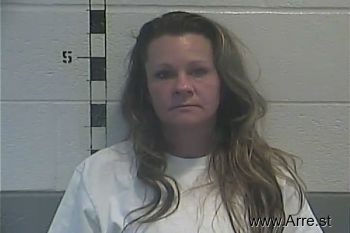 Amanda Michelle Shields Mugshot