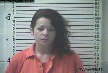 Amanda Lynn Strickland Mugshot