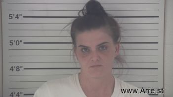 Amanda Lynn Turner Mugshot