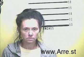 Amanda  Turner Mugshot