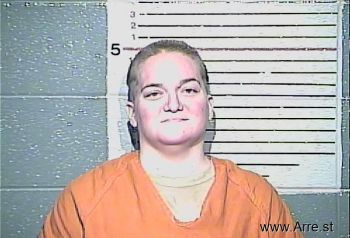 Amanda Lynn Turner Mugshot