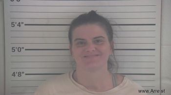 Amanda Lynn Turner Mugshot