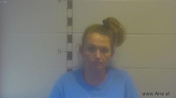 Amanda Renee Turner Mugshot