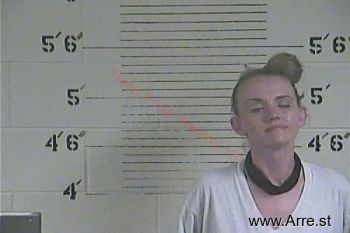 Amanda R Turner Mugshot