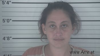 Amanda Nicole Varner Mugshot